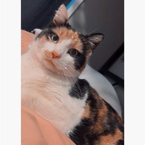 Meet your Posher, Isabelle